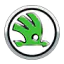 Ендоскопія бензинового двигуна SKODA