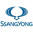 Ендоскопія бензинового двигуна SSANGYONG